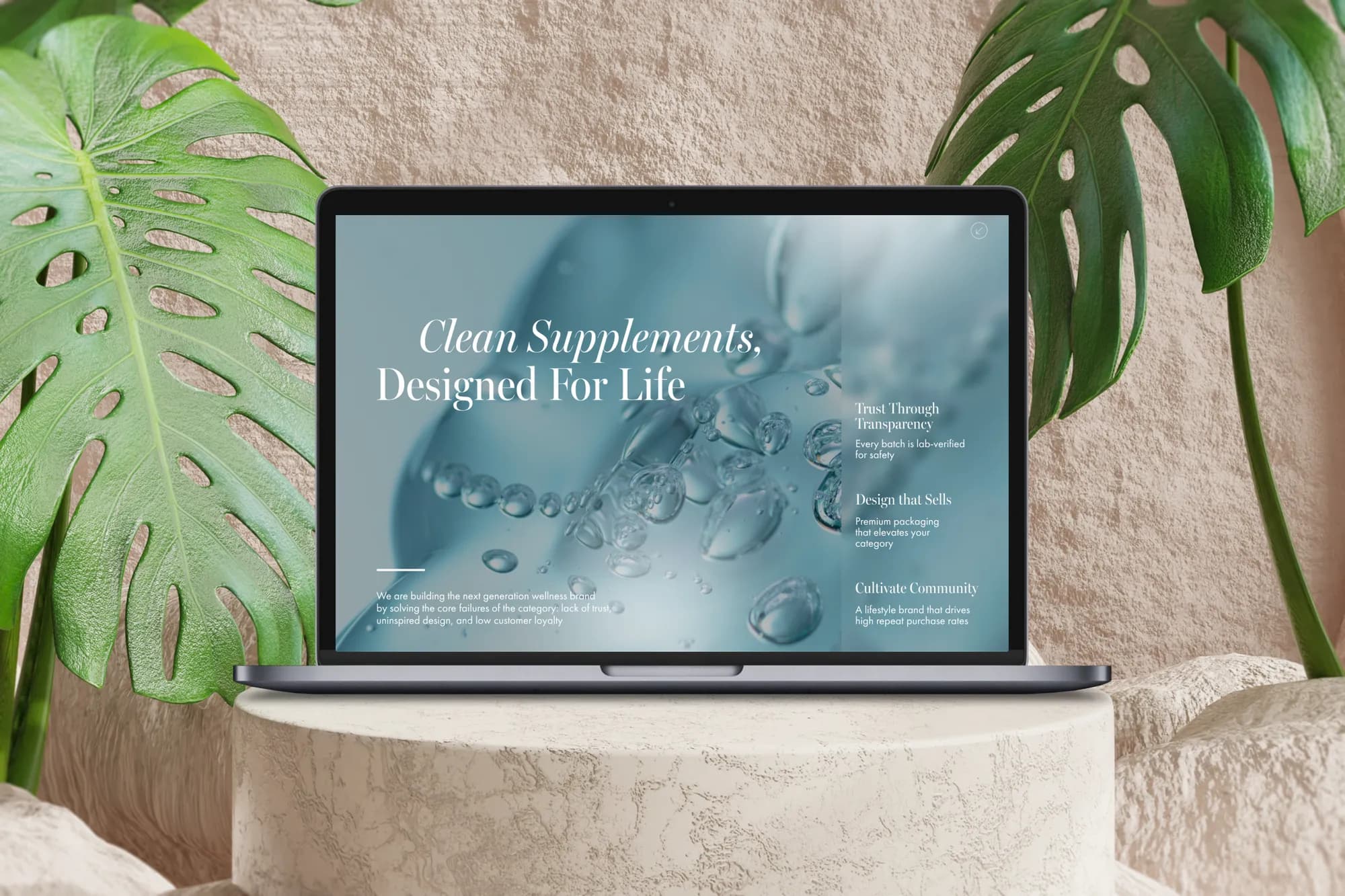 Wellness Brand pitch deck — cover and opening slides